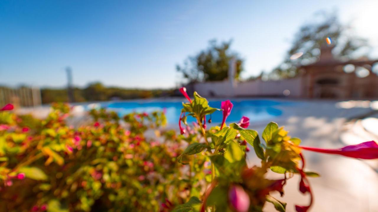 Villa Arton Heated Swimming-Pool Žminj Exterior foto